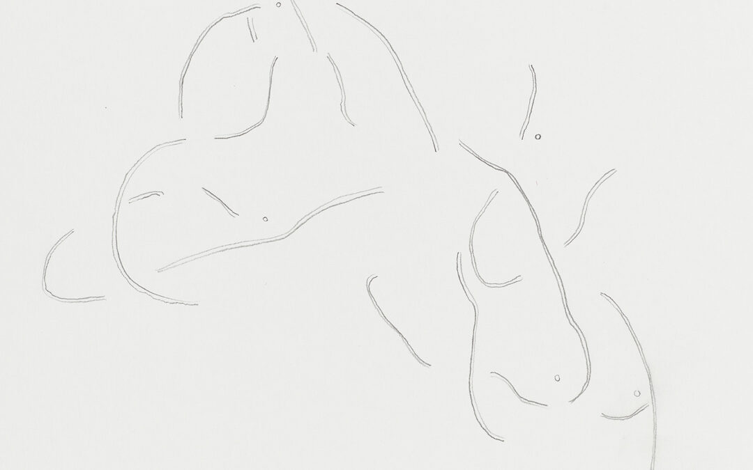 O 29