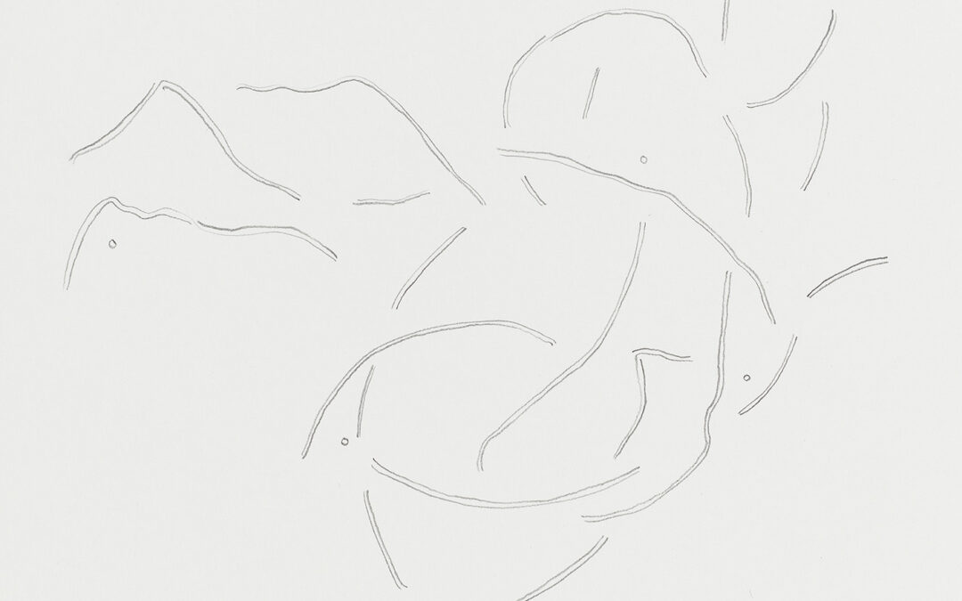 O 31
